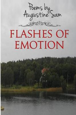 Book cover for Flashes of Emotion