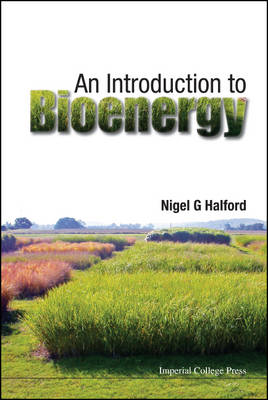 Book cover for Introduction To Bioenergy, An