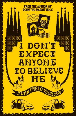Book cover for I Don't Expect Anyone to Believe Me