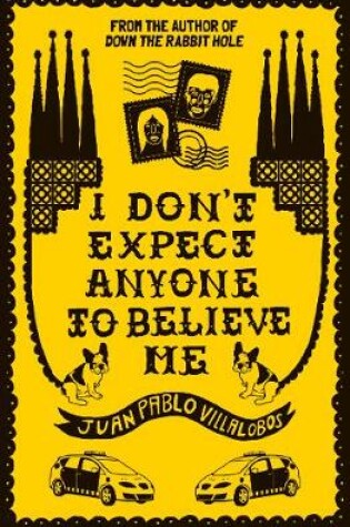 Cover of I Don't Expect Anyone to Believe Me