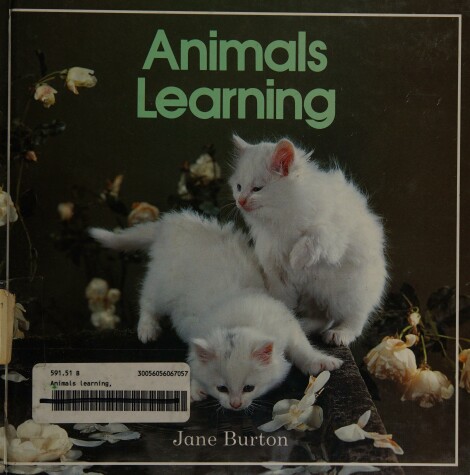 Cover of Animals Learning