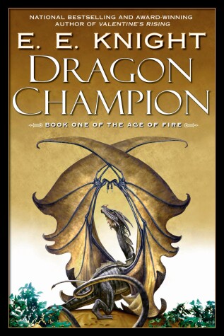 Cover of Dragon Champion