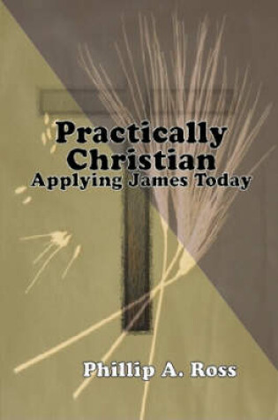 Cover of Practically Christian