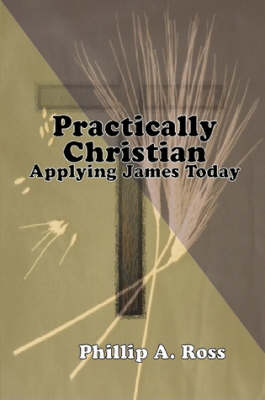 Book cover for Practically Christian