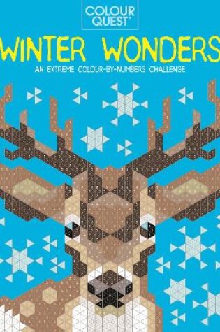 Cover of Colour Quest®: Winter Wonders