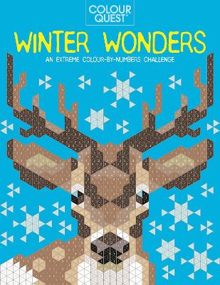 Book cover for Colour Quest®: Winter Wonders