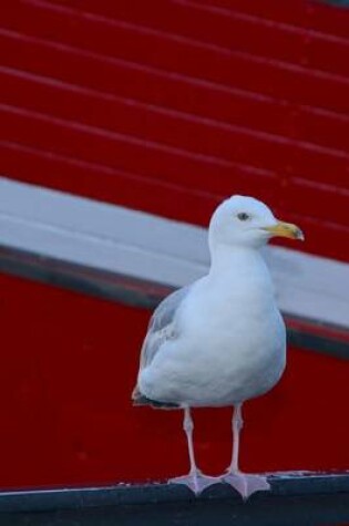 Cover of Seagull at the Marina Bird Journal