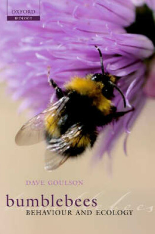 Cover of Bumblebees