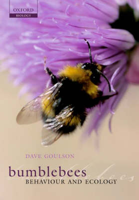 Book cover for Bumblebees