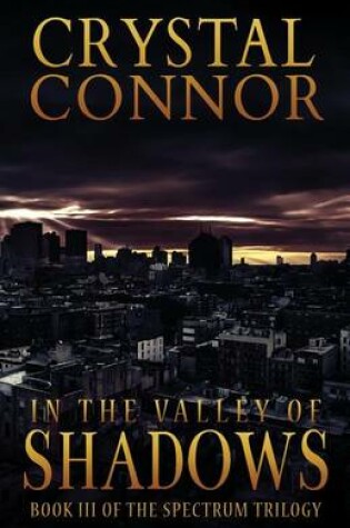 Cover of In The Valley of Shadows