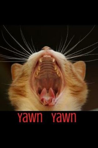 Cover of Yawn Yawn