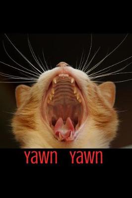 Book cover for Yawn Yawn