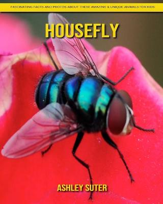 Book cover for Housefly