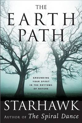 Book cover for The Earth Path