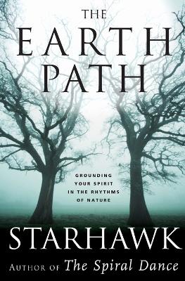 Book cover for The Earth Path