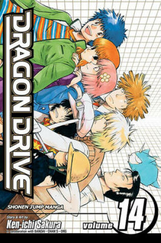 Cover of Dragon Drive, Volume 14