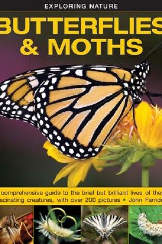 Cover of Exploring Nature: Butterflies & Moths