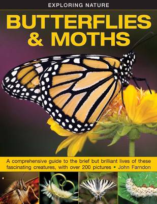 Book cover for Exploring Nature: Butterflies & Moths