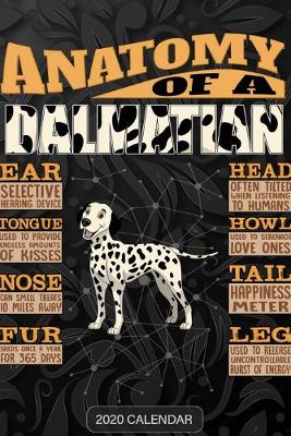 Book cover for Anatomy Of A Dalmatian