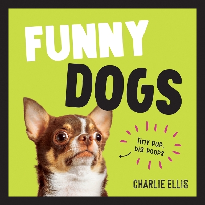 Book cover for Funny Dogs