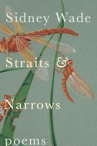 Cover of Straits & Narrows