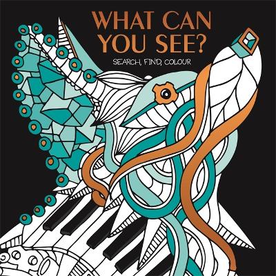 Book cover for What Can You See?