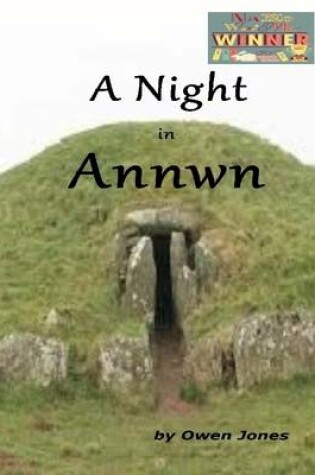 Cover of A Night In Annwn