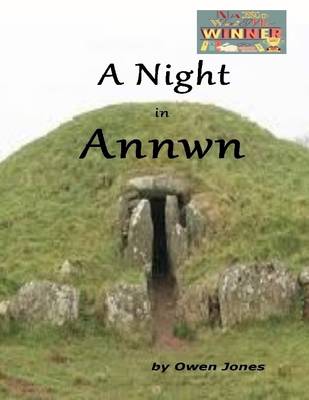 Book cover for A Night In Annwn