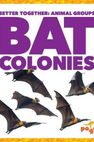 Cover of Bat Colonies