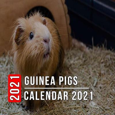 Book cover for Guinea Pigs Calendar 2021