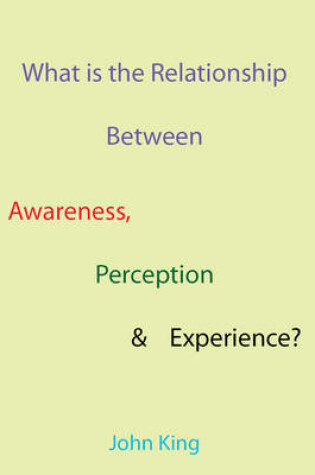Cover of What is the Relationship Between Awareness, Perception & Experience?