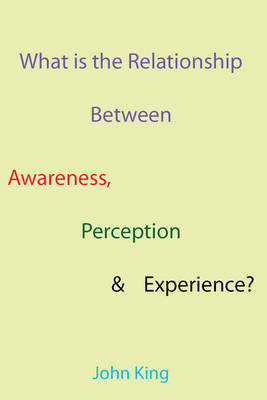 Book cover for What is the Relationship Between Awareness, Perception & Experience?