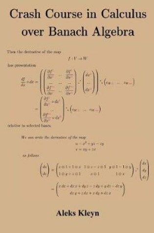 Cover of Crash Course in Calculus over Banach Algebra