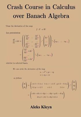 Book cover for Crash Course in Calculus over Banach Algebra