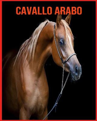 Book cover for Cavallo Arabo