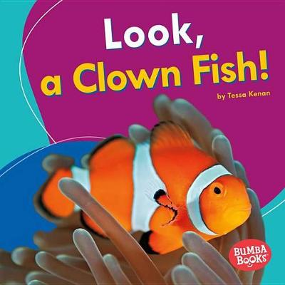 Book cover for Look, a Clown Fish!