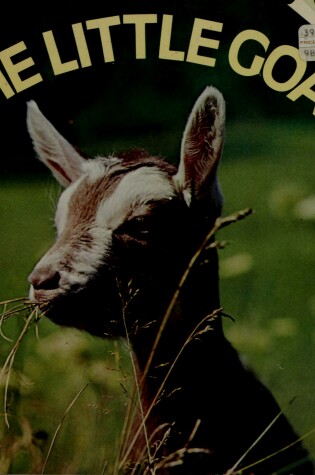 Cover of THE Little Goat