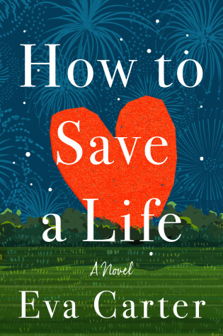 Cover of How to Save a Life