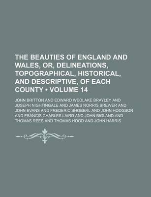 Book cover for The Beauties of England and Wales, Or, Delineations, Topographical, Historical, and Descriptive, of Each County (Volume 14)