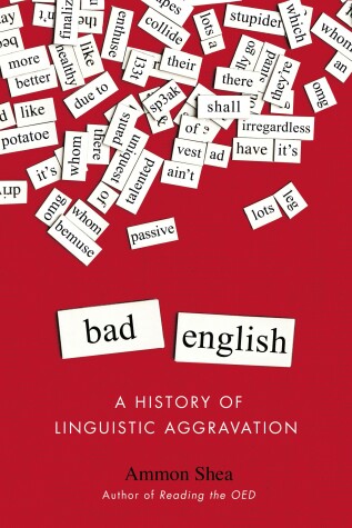 Book cover for Bad English