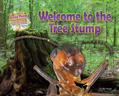 Book cover for Welcome to the Tree Stump