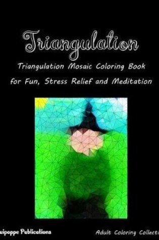 Cover of Triangulation