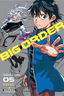 Book cover for Big Order, Vol. 5