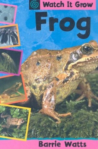 Cover of Frog