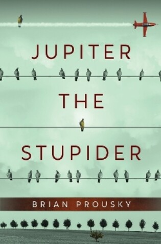 Cover of Jupiter the Stupider