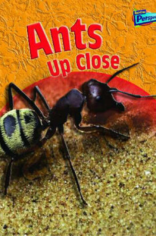 Cover of Ants Up Close