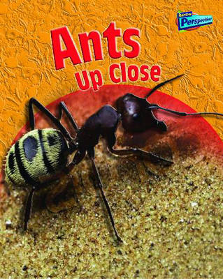 Cover of Ants Up Close