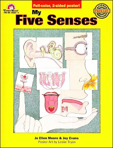 Cover of My Five Senses