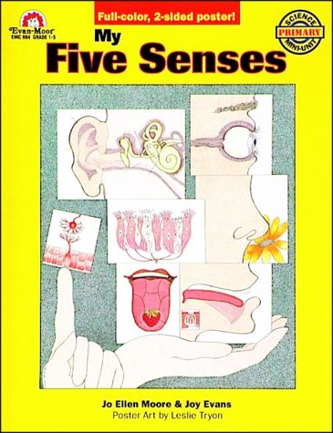 Book cover for My Five Senses