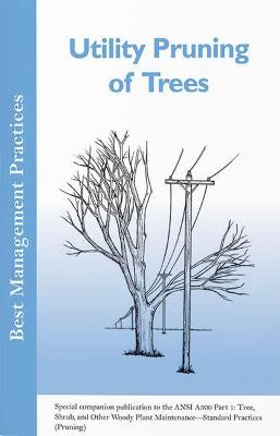 Book cover for Utility Pruning of Trees